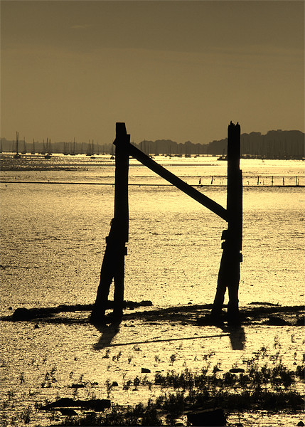 River Orwell Picture Board by Will Black