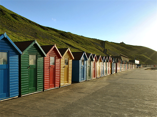 Beach Huts at Whitby Picture Board by graham young