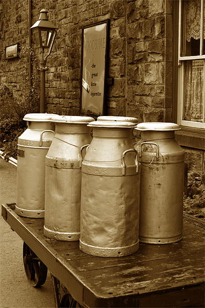 Milk Churns Picture Board by graham young