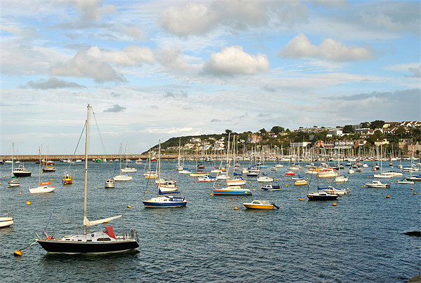 The Outer Harbour at Brixham Picture Board by graham young