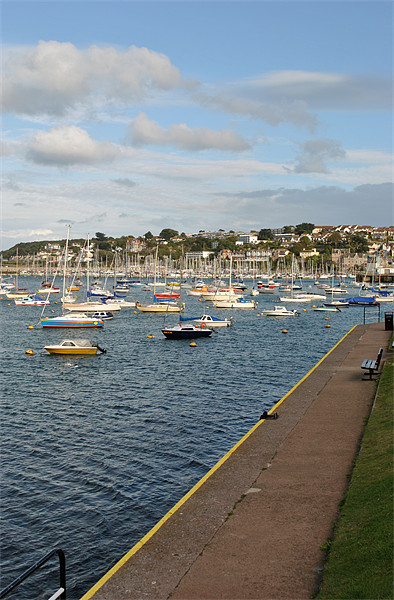 Brixham Harbour Picture Board by graham young