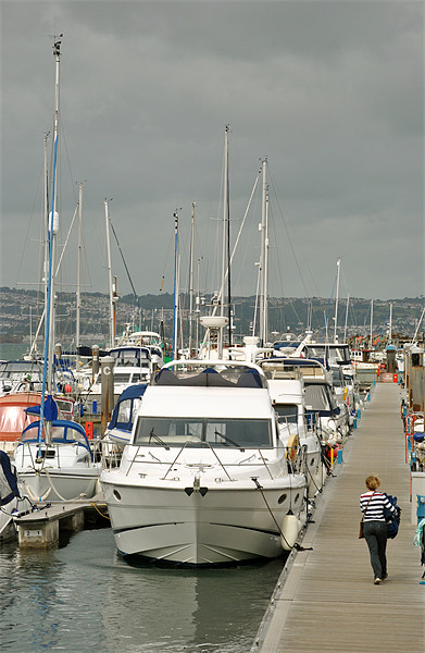 Brixham Marina Picture Board by graham young