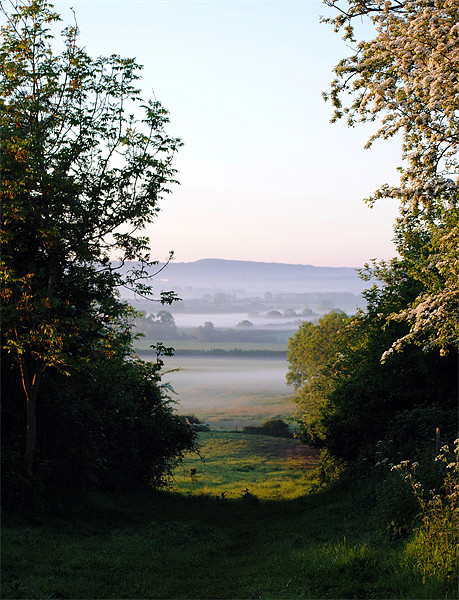 The Chilterns in Springtime Picture Board by graham young