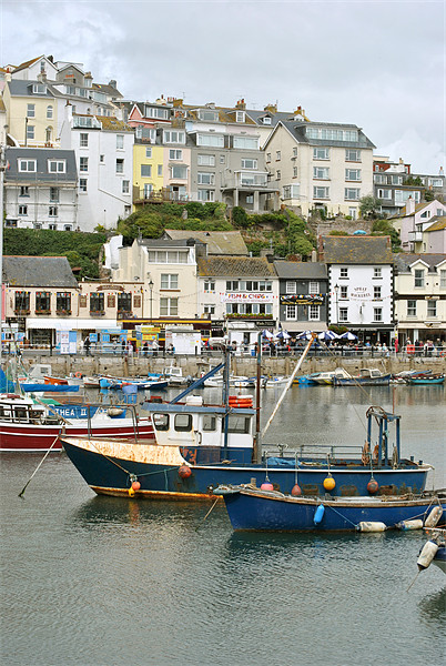 Brixham Harbour, Devon Picture Board by graham young