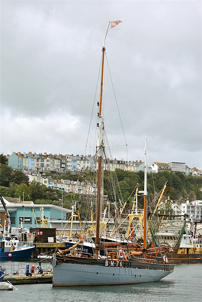 Brixham Sailing Trawler Picture Board by graham young