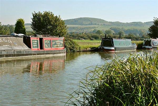 Narrowboats in the Chilterns Picture Board by graham young