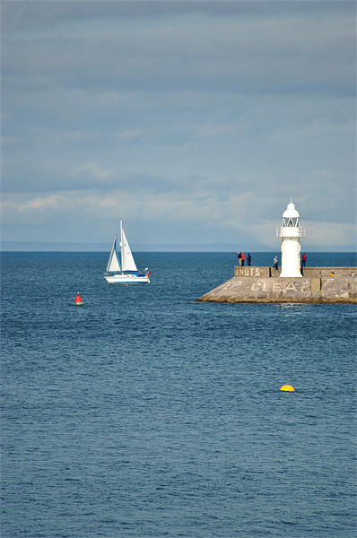 Sailing Off Brixham Breakwater Picture Board by graham young