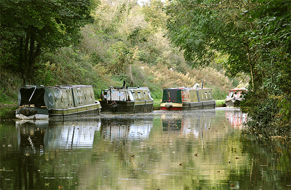 Narrowboats on the Tring Cutting Picture Board by graham young