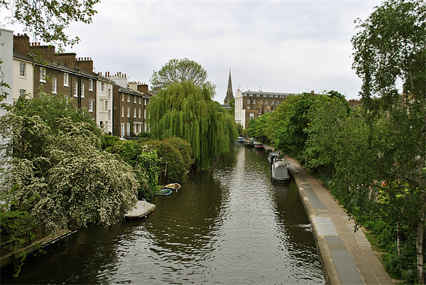 Regents Canal at Primrose Hill Picture Board by graham young