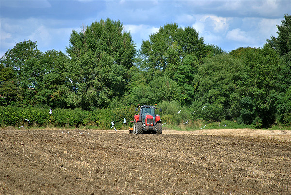 Following the Plough Picture Board by graham young