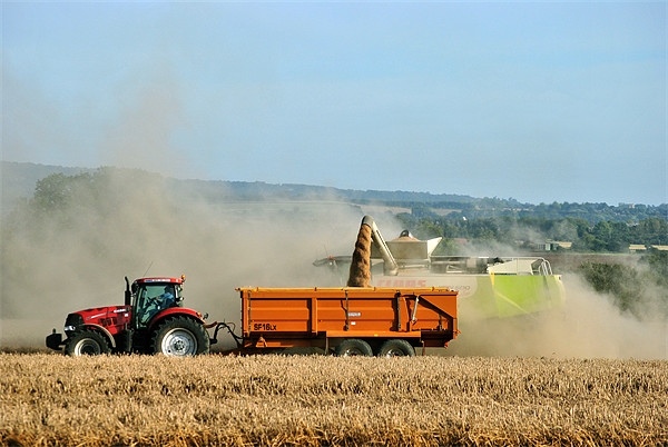 Unloading the Grain Picture Board by graham young