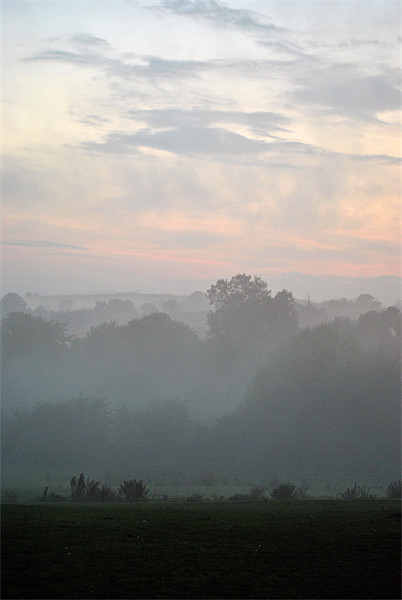 Evening Mist Picture Board by graham young