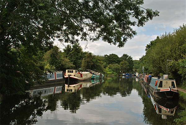 Narrowboats at Cowley Peachey Picture Board by graham young
