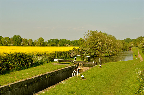 The Aylesbury Arm in Summer Picture Board by graham young