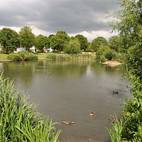 Buy canvas prints of The Pond on Ham Common by graham young