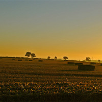 Buy canvas prints of Harvest Sunrise by graham young