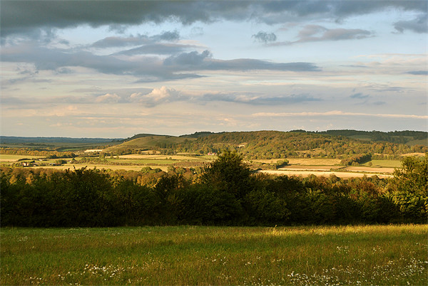 The Chilterns Picture Board by graham young