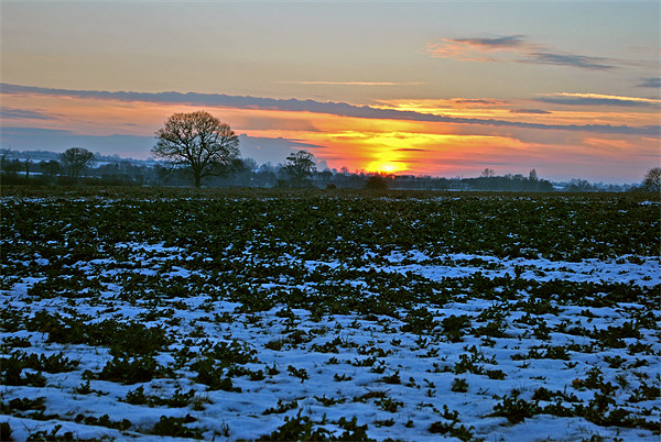 Winter Sunset Picture Board by graham young