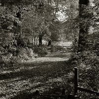 Buy canvas prints of Tring Park by graham young