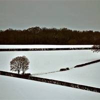 Buy canvas prints of Winter by graham young