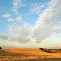 Buy canvas prints of Big Harvest Sky! by graham young
