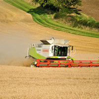 Buy canvas prints of Combine Harvesting! by graham young