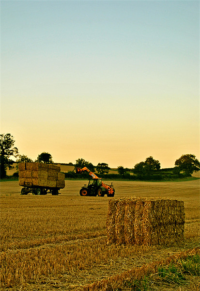 Loading the Bales Picture Board by graham young