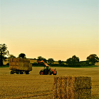Buy canvas prints of Loading the Bales by graham young