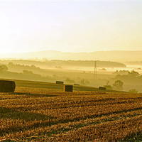 Buy canvas prints of Harvest Dawn - Panoramic by graham young