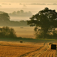 Buy canvas prints of Harvest Panorama by graham young