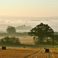 Buy canvas prints of Chiltern Mist by graham young