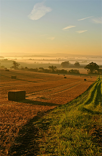 Harvest Time Mist Picture Board by graham young