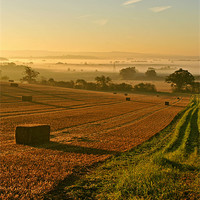 Buy canvas prints of Harvest Time Mist by graham young