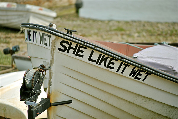 She Like It Wet Picture Board by graham young
