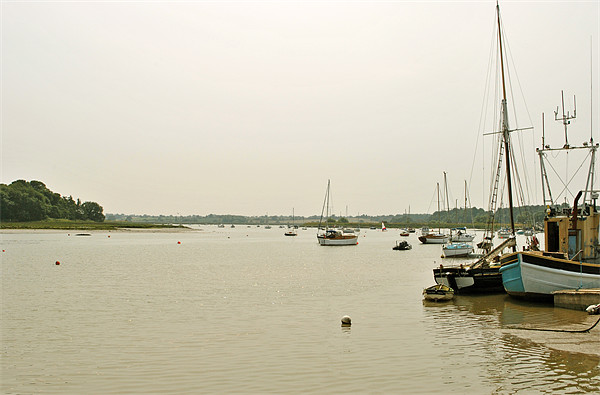 The Deben Estuary at Woodbridge Picture Board by graham young