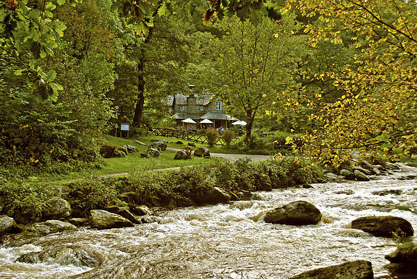Early Autumn at Watersmeet Picture Board by graham young