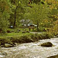 Buy canvas prints of Early Autumn at Watersmeet by graham young