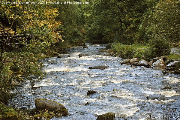 The River Lyn at Watersmeet Picture Board by graham young