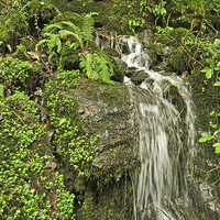 Buy canvas prints of An Exmoor Waterfall by graham young