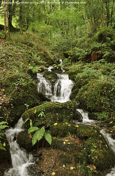 An Exmoor Stream Picture Board by graham young