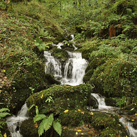 Buy canvas prints of An Exmoor Stream by graham young