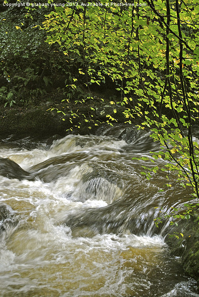 An Exmoor Stream Picture Board by graham young