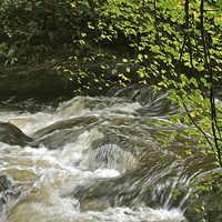 Buy canvas prints of An Exmoor Stream by graham young
