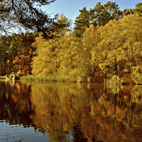Buy canvas prints of Autumn at Stockgrove by graham young