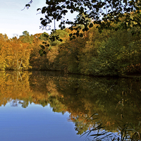 Buy canvas prints of Stockgrove Lake  in Autumn by graham young