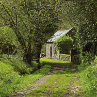 Buy canvas prints of The Road To Countisbury Mill  by graham young