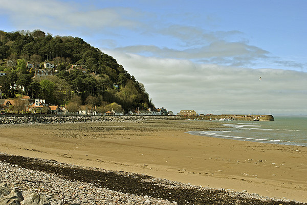 Minehead Beach  Picture Board by graham young