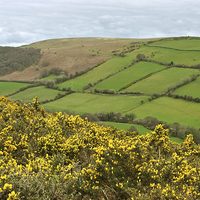 Buy canvas prints of Exmoor in the Spring  by graham young