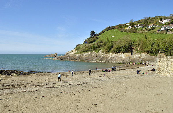 Combe Martin Beach  Picture Board by graham young