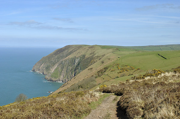 The Exmoor Coast  Picture Board by graham young